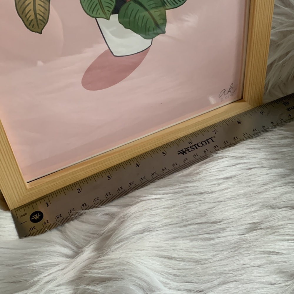 Rubber Plant Framed Print - Picture 6 of 7